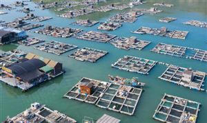 2024中国中小企业行业发展现状分析 中国内地中小企业投资AI技术意愿全球最高(图2) 2024中国中小企业行业发展现状分析 中国内地中小企业投资AI技术意愿全球最高(图2)
