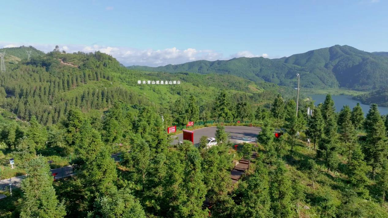 靖州茯苓深加工产业集群被确定为“湖南省中小企业特色产业集群”(图4) 靖州茯苓深加工产业集群被确定为“湖南省中小企业特色产业集群”(图4)